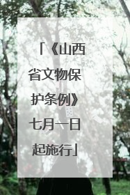 《山西省文物保护条例》七月一日起施行