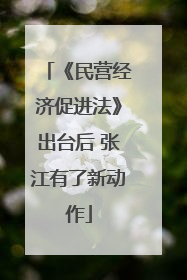 《民营经济促进法》出台后 张江有了新动作