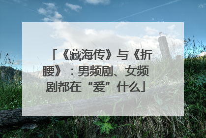 《藏海传》与《折腰》：男频剧、女频剧都在“爱”什么