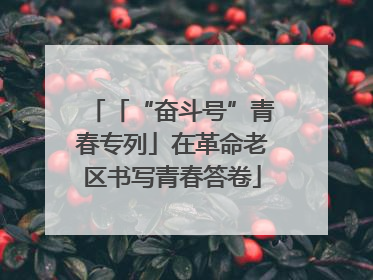 「“奋斗号”青春专列」在革命老区书写青春答卷