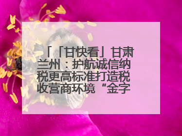 「甘快看」甘肃兰州：护航诚信纳税更高标准打造税收营商环境“金字招牌”