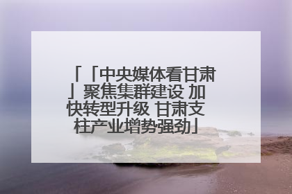 「中央媒体看甘肃」聚焦集群建设 加快转型升级 甘肃支柱产业增势强劲