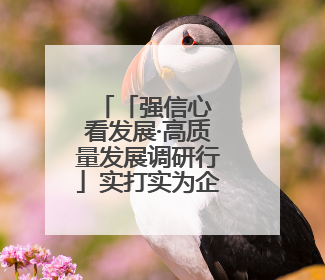 「强信心 看发展·高质量发展调研行」实打实为企业解难题办实事——古浪县优化营商环境助力企业高质量发展见闻