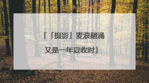 「摄影」麦浪翻涌 又是一年夏收时