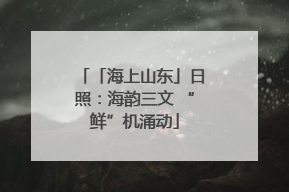 「海上山东」日照：海韵三文 “鲜”机涌动
