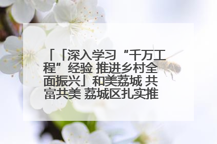 「深入学习“千万工程”经验 推进乡村全面振兴」和美荔城 共富共美 荔城区扎实推进乡村振兴工作