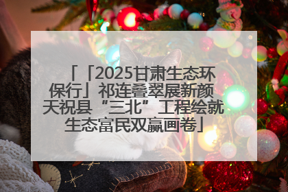 「2025甘肃生态环保行」祁连叠翠展新颜 天祝县“三北”工程绘就生态富民双赢画卷
