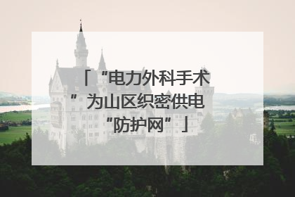 “电力外科手术”为山区织密供电“防护网”