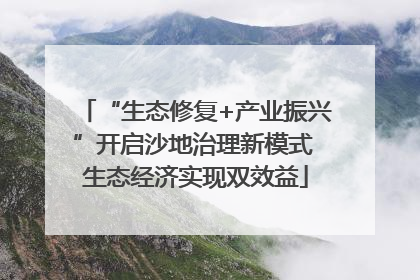 “生态修复+产业振兴”开启沙地治理新模式 生态经济实现双效益