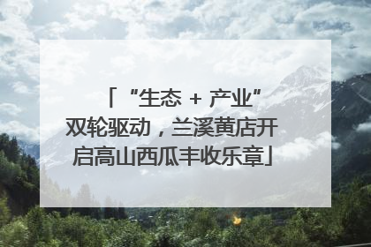 “生态 + 产业”双轮驱动，兰溪黄店开启高山西瓜丰收乐章