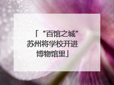 “百馆之城”苏州将学校开进博物馆里