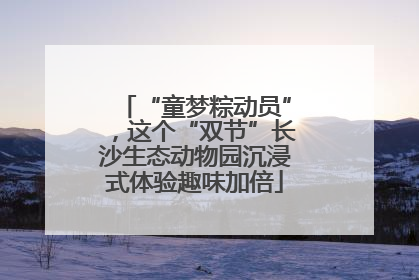 “童梦粽动员”，这个“双节”长沙生态动物园沉浸式体验趣味加倍