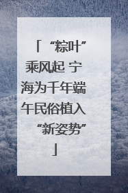 “粽叶”乘风起 宁海为千年端午民俗植入“新姿势”