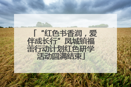 “红色书香润，爱伴成长行”凤城镇福蕾行动计划红色研学活动圆满结束