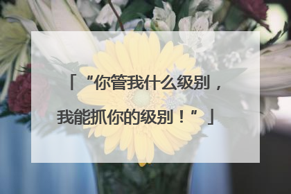 “你管我什么级别，我能抓你的级别！”