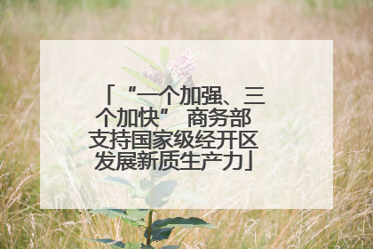 “一个加强、三个加快” 商务部支持国家级经开区发展新质生产力