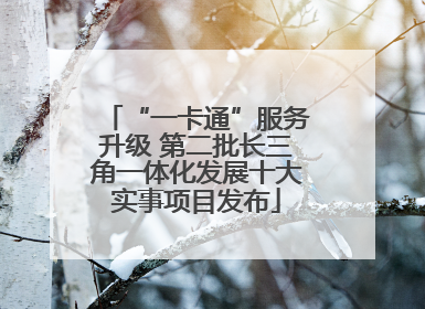 “一卡通”服务升级 第二批长三角一体化发展十大实事项目发布