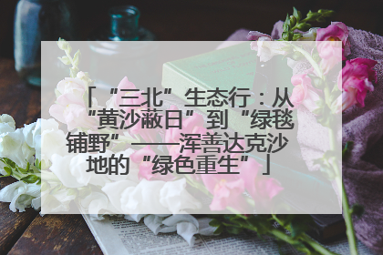 “三北”生态行：从“黄沙蔽日”到“绿毯铺野”——浑善达克沙地的“绿色重生”