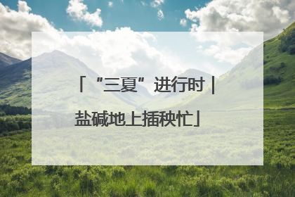 “三夏”进行时｜盐碱地上插秧忙