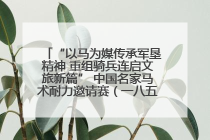 “以马为媒传承军垦精神 重组骑兵连启文旅新篇” 中国名家马术耐力邀请赛（一八五团站）暨重启骑兵连活动正式启动