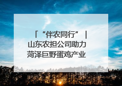 “伴农同行”｜山东农担公司助力菏泽巨野蛋鸡产业高质量发展