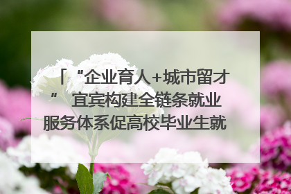 “企业育人+城市留才” 宜宾构建全链条就业服务体系促高校毕业生就业｜您牵挂的四川