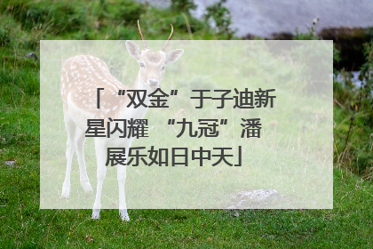 “双金”于子迪新星闪耀 “九冠”潘展乐如日中天