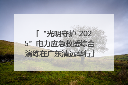 “光明守护-2025”电力应急救援综合演练在广东清远举行