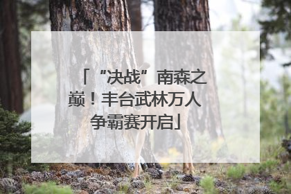 “决战”南森之巅！丰台武林万人争霸赛开启