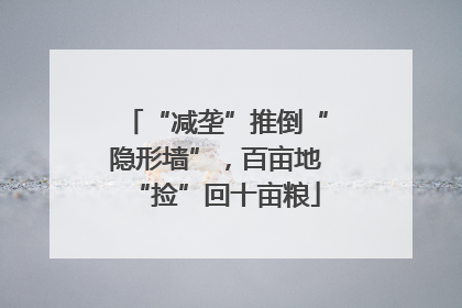 “减垄”推倒“隐形墙”，百亩地“捡”回十亩粮