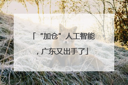 “加仓”人工智能，广东又出手了