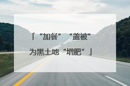 “加餐”“盖被” 为黑土地“增肥”