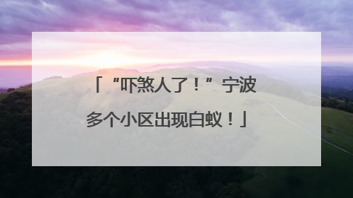 “吓煞人了！”宁波多个小区出现白蚁！