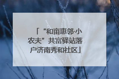 “和亩惠邻·小农夫”共富驿站落户济南秀和社区