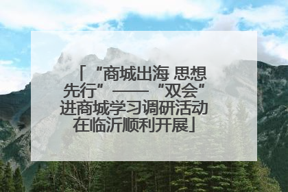 “商城出海 思想先行”——“双会”进商城学习调研活动在临沂顺利开展