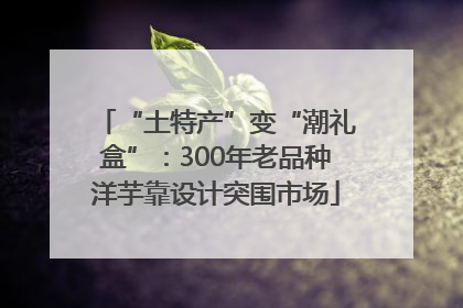“土特产”变“潮礼盒”：300年老品种洋芋靠设计突围市场
