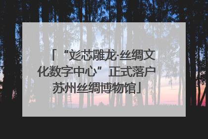 “彣芯雕龙·丝绸文化数字中心”正式落户苏州丝绸博物馆