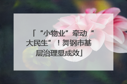 “小物业”牵动“大民生”！舞钢市基层治理显成效