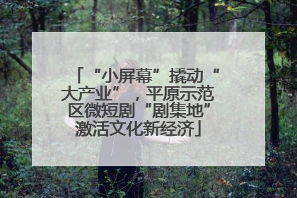 “小屏幕”撬动“大产业”，平原示范区微短剧“剧集地”激活文化新经济