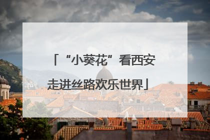 “小葵花”看西安走进丝路欢乐世界