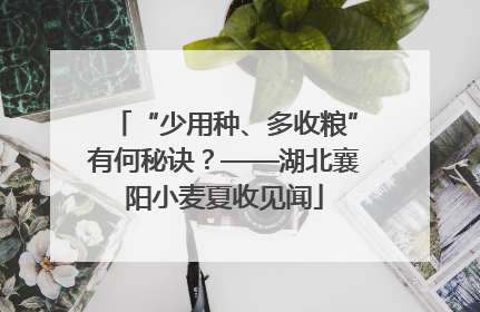 “少用种、多收粮”有何秘诀？——湖北襄阳小麦夏收见闻