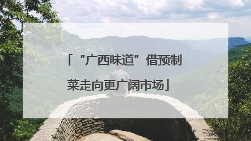 “广西味道”借预制菜走向更广阔市场