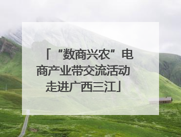 “数商兴农”电商产业带交流活动走进广西三江