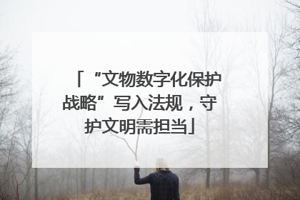 “文物数字化保护战略”写入法规，守护文明需担当