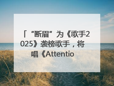 “断眉”为《歌手2025》袭榜歌手，将唱《Attention》和《See You Again》