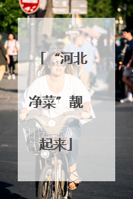 “河北净菜”靓起来