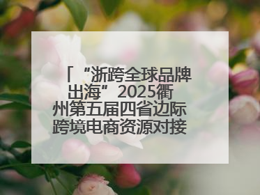 “浙跨全球品牌出海”2025衢州第五届四省边际跨境电商资源对接活动成功举办
