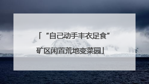 “自己动手丰衣足食”矿区闲置荒地变菜园