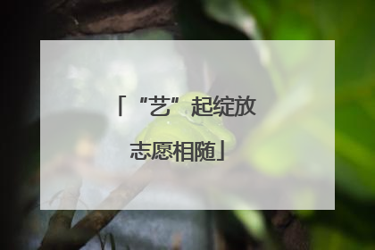 “艺”起绽放 志愿相随