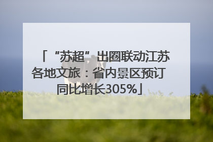 “苏超”出圈联动江苏各地文旅：省内景区预订同比增长305%